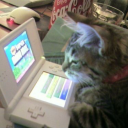 mortepatetica avatar