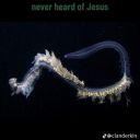 mosh-for-jesus avatar