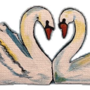 moshpit-mentality avatar