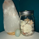 moss-and-bones-baby avatar