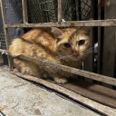 mossandfiresmokes avatar