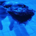 mosscollector avatar