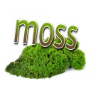 mossop avatar