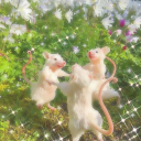 mossy-axolotl avatar