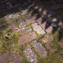 mossy-oblivion avatar