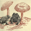 mossytoadback avatar