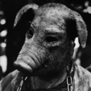 most-disturbed-person-cinemagore avatar