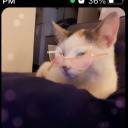 mostloveable13 avatar