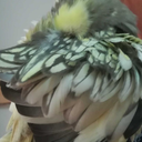 mostlydeadaccnt avatar