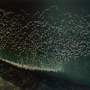 mostlydefinite avatar