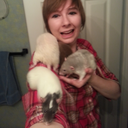 mostlypetselfies avatar