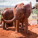 mostlyprocrastinating avatar