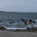 motguernesiais avatar