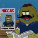 moth-emotions avatar