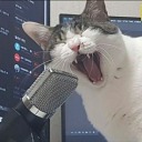 moth-moth-the-magic-moth avatar