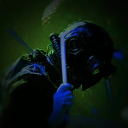 mothbiologist avatar