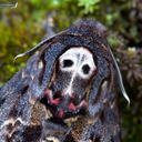 mothblogging avatar