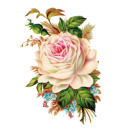 mother-to-many avatar