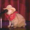 mothermeatloaf avatar