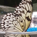 motherofmisfits avatar