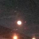 mothmanisbullshit avatar