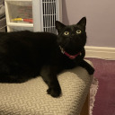 mothmanlivesinmyroom avatar