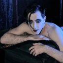 mothmanmothplan avatar