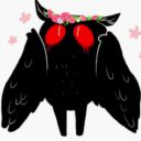mothpocalypse-blog avatar