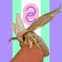 mothpride avatar