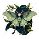 mothsandmoxie avatar