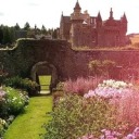 mothscrossing avatar