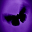 mothy-after-dark avatar