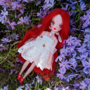 mothysmenagerie avatar