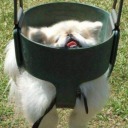 motionreflection avatar