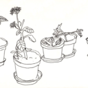 motivatingstudyblr avatar