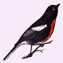 motivesn-thoughts avatar