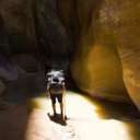 motorcyclewoodsman avatar