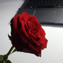 motylkianyssblogg avatar