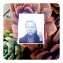 mountain-ash-blog avatar