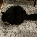 mountain-dew-meat-sphere avatar