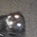 mountain-grandma avatar