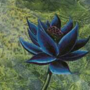 mountain-lotus-channel-fireball avatar