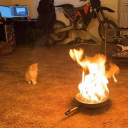 mountain-range-on-fire avatar