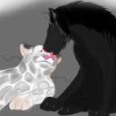 mountain-wolf avatar