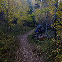 mountainbeans avatar