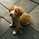 mountaindew-official avatar