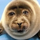 mountaingoatslastlineaday avatar