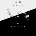 mountainiplier avatar