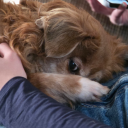 mountainmomma95 avatar