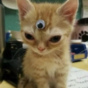 mountainnmomma avatar